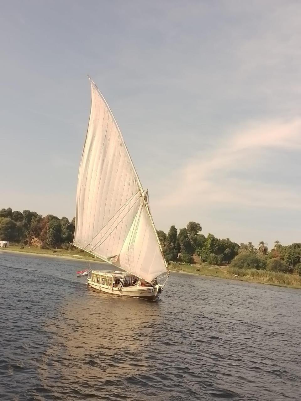 Nile Felucca Adventure Hotell Aswan Exteriör bild