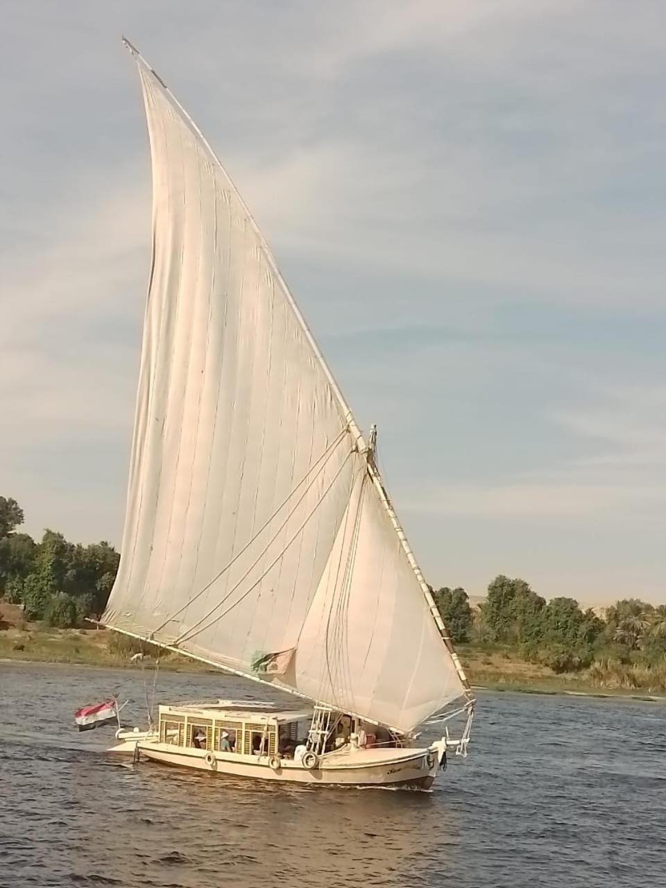 Nile Felucca Adventure Hotell Aswan Exteriör bild